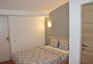 Гостевой дом Central Guesthouse Бухарест Улучшенный двухместный номер с 1 кроватью-60